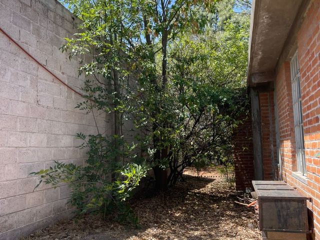 place photo 19