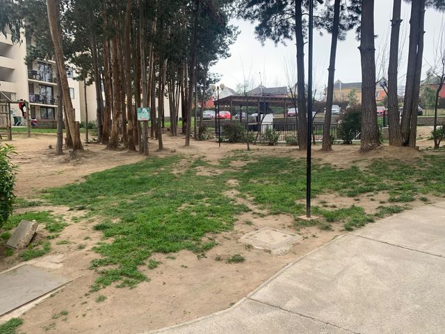 place photo 38