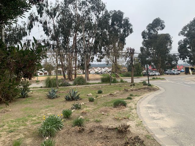 place photo 43