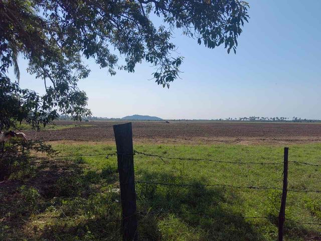 place photo 24