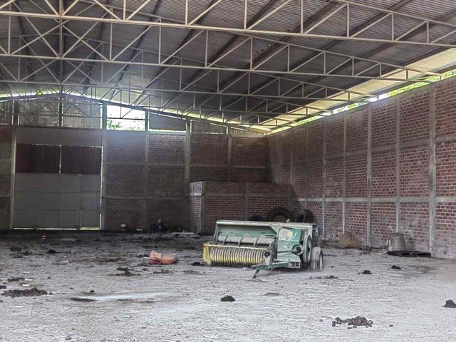 place photo 28