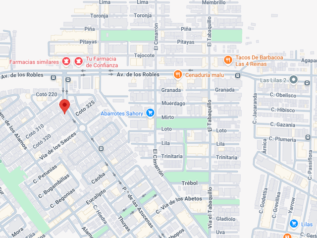 place photo 4