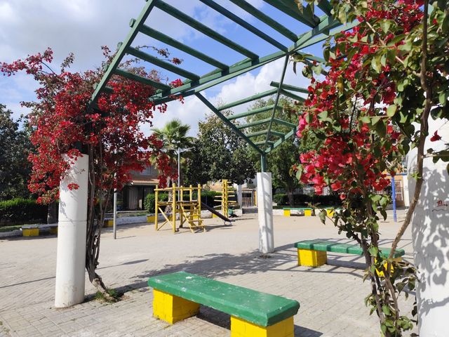 place photo 14