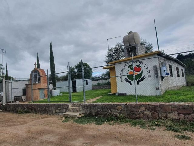 place photo 17