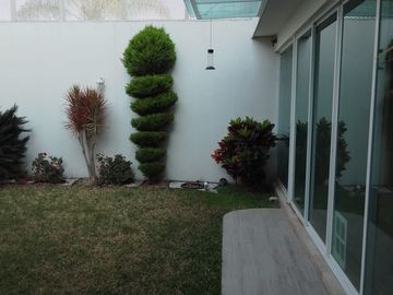 place photo 52