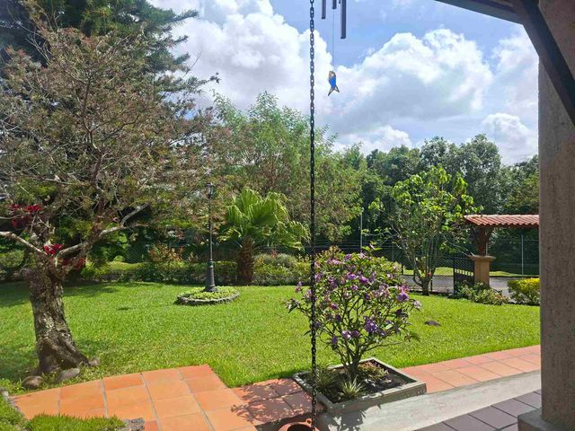 place photo 49
