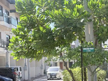 place photo 33