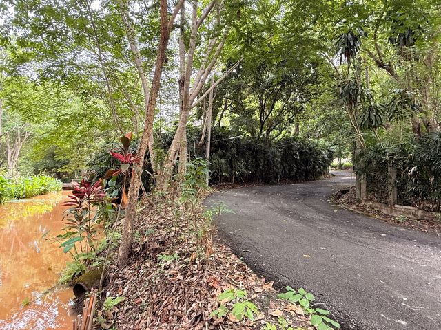 place photo 48