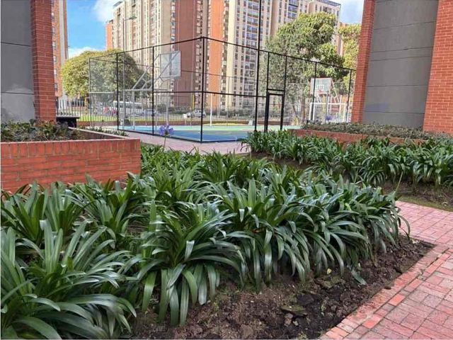 place photo 25