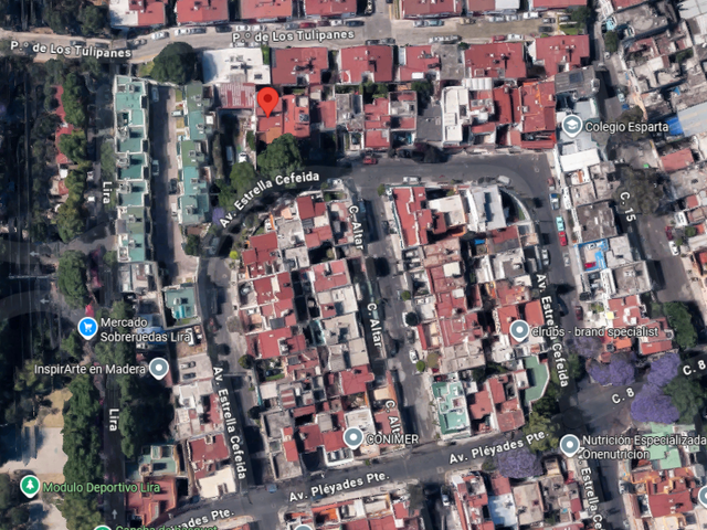 place photo 13