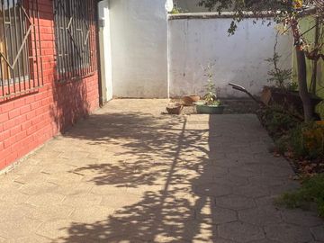 place photo 52