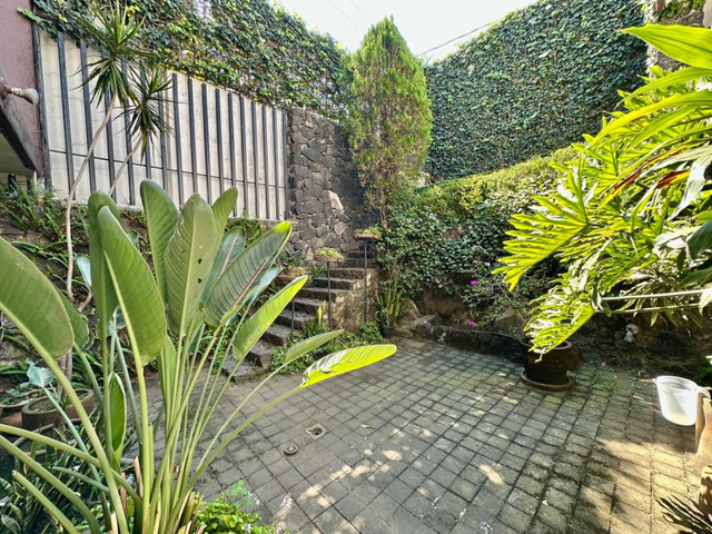 place photo 26