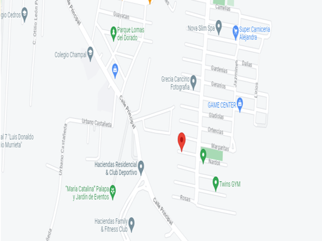 place photo 5