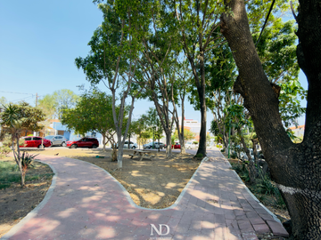place photo 46