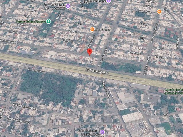 place photo 7