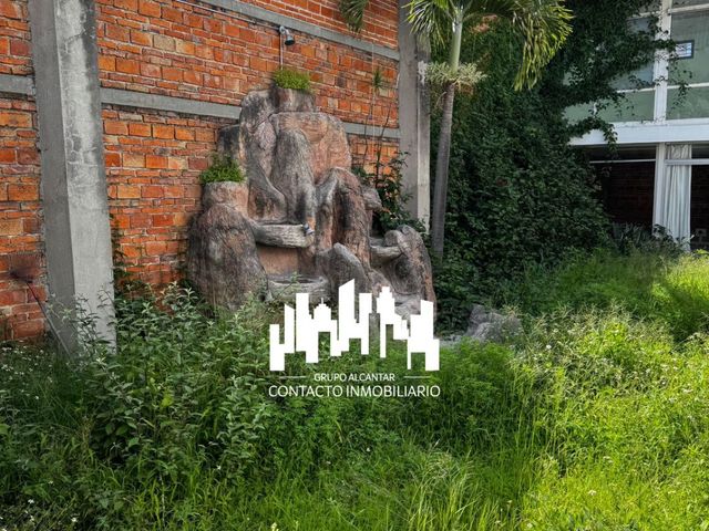 place photo 34