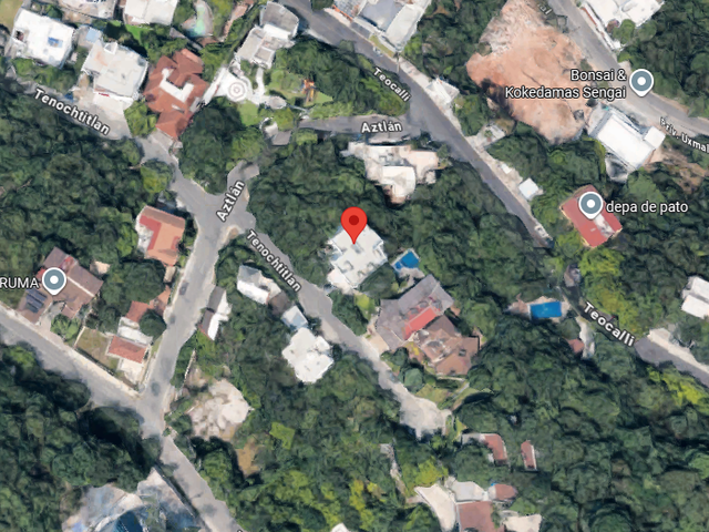 place photo 6