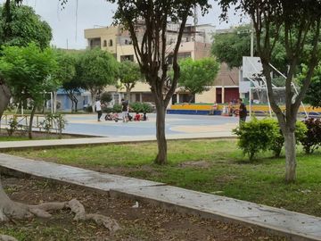 place photo 15