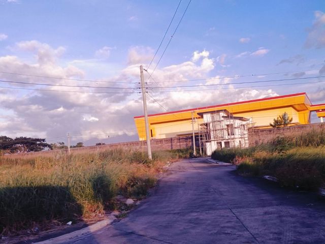 place photo 14