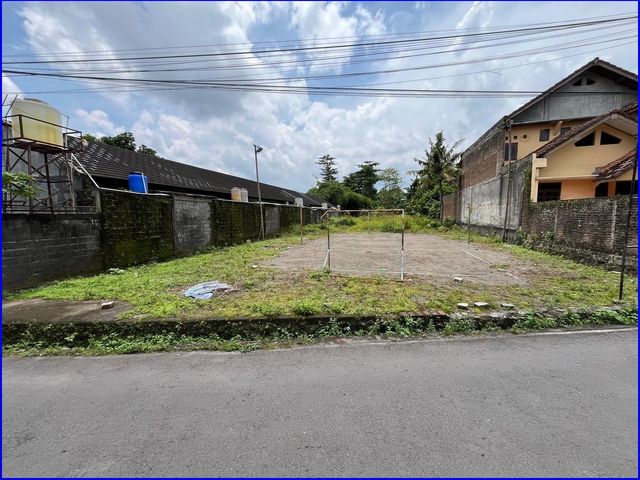 place photo 10