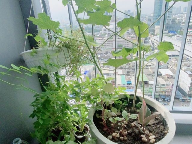 place photo 32