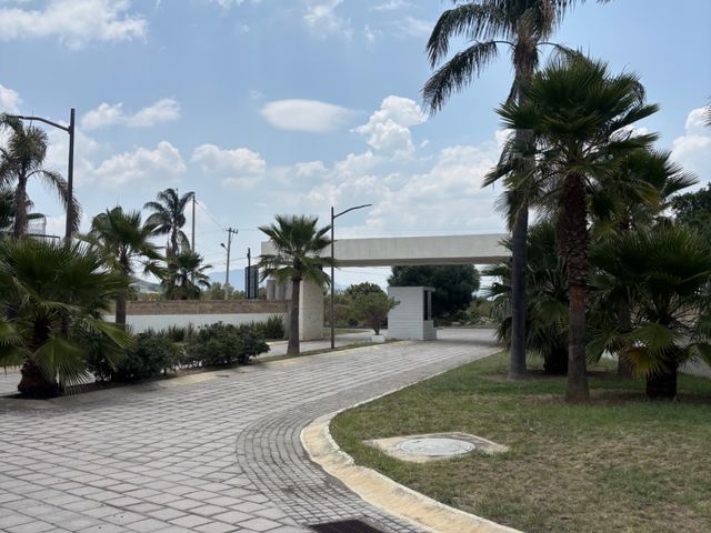 place photo 17