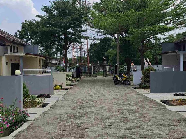 place photo 13