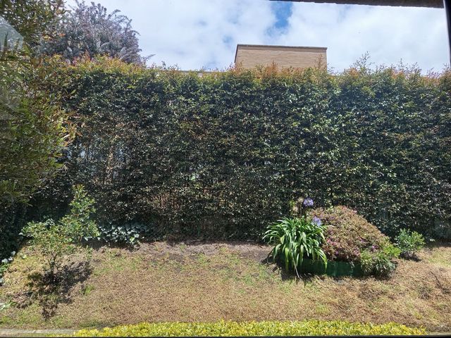 place photo 48