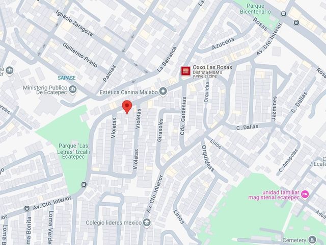 place photo 3