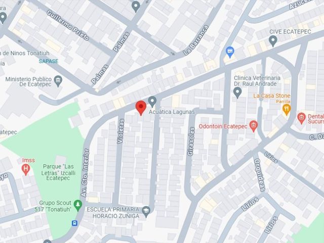 place photo 11
