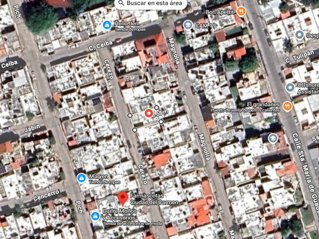place photo 10