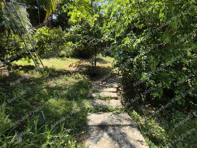 place photo 29