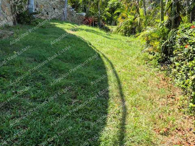 place photo 26