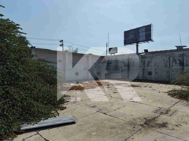 place photo 17