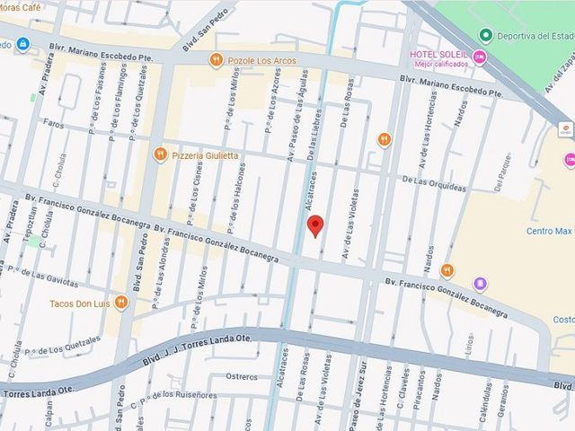 place photo 7
