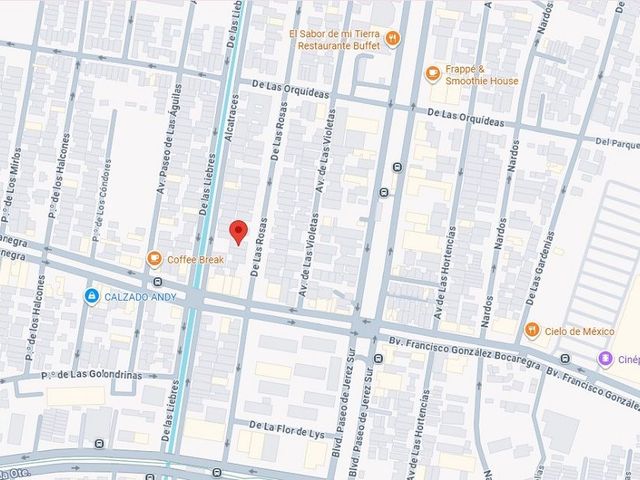 place photo 8
