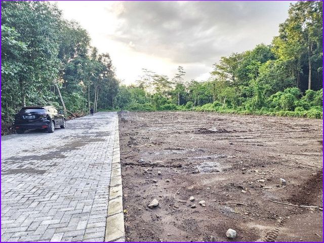 place photo 6