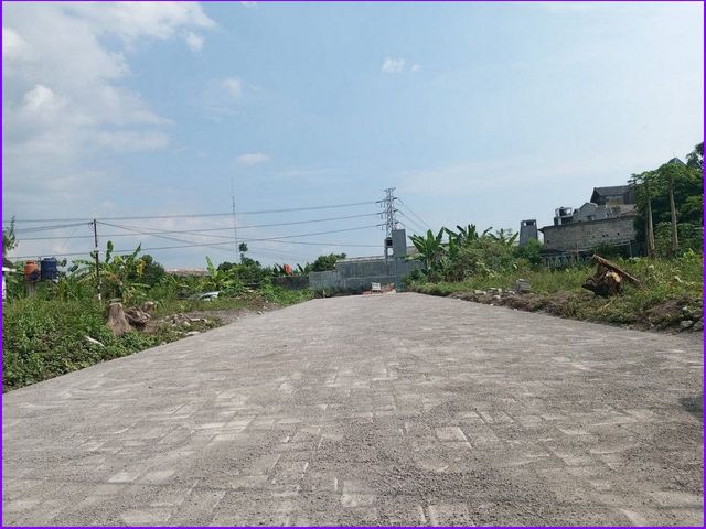 place photo 7