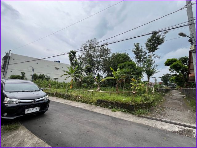place photo 4