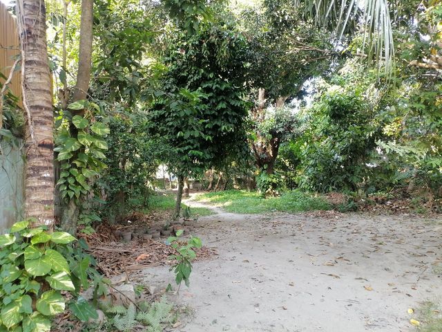 place photo 37