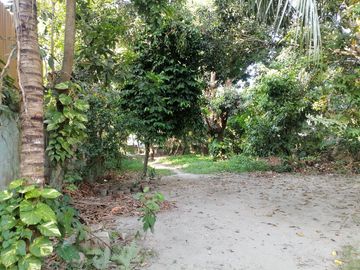 place photo 37