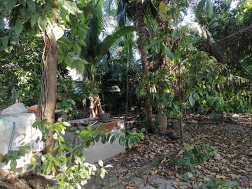 place photo 25