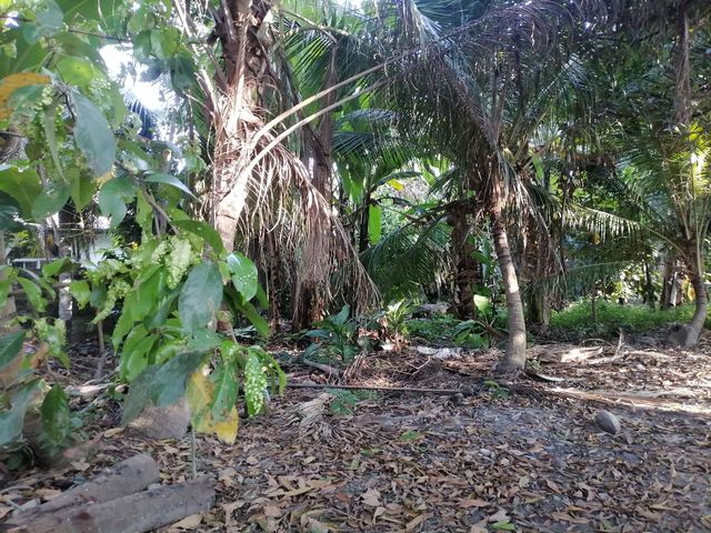 place photo 28