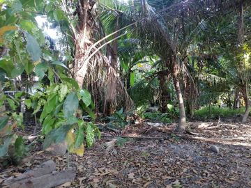 place photo 28