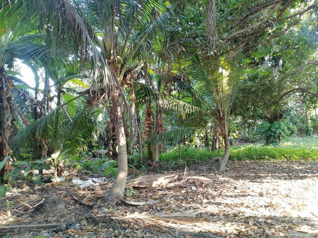 place photo 30