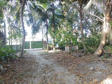 place photo 31