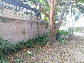 place photo 32