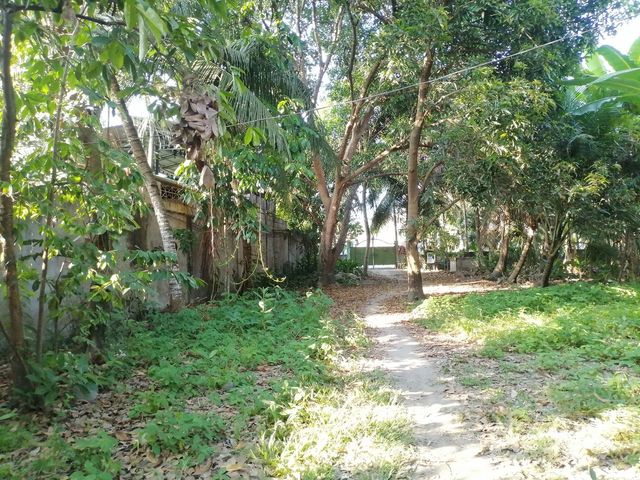 place photo 34