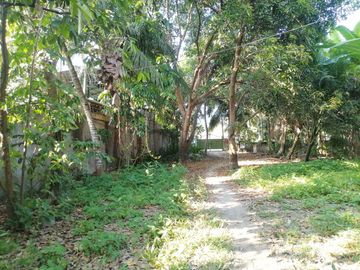 place photo 34