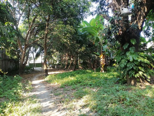 place photo 35